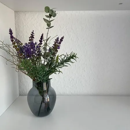 Lucky Ls09 - Vollausstattung - Zentrum - Grosse Kueche - 2 - Smart-tv Apartment